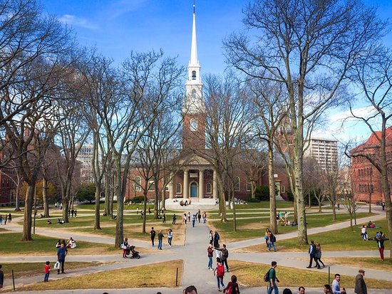 harvard.jpg